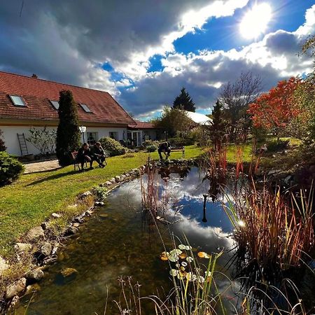 Bed and Breakfast Pilisi Lovas Major, Dorog Zewnętrze zdjęcie